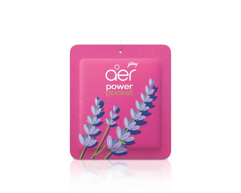 Godrej Aer Power Pocket 10gm