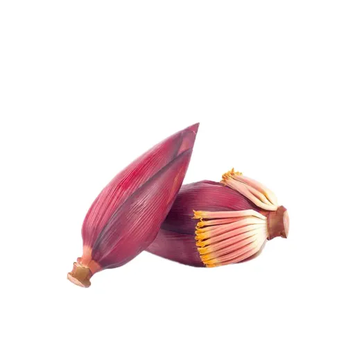 Banana Flower (Kolar Mocha)